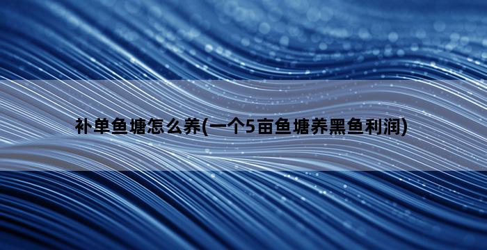补单平台